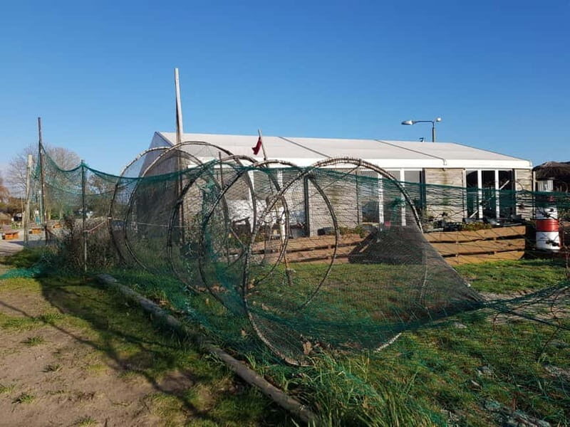 Island taster tour with Swinemünde - The Sum Up