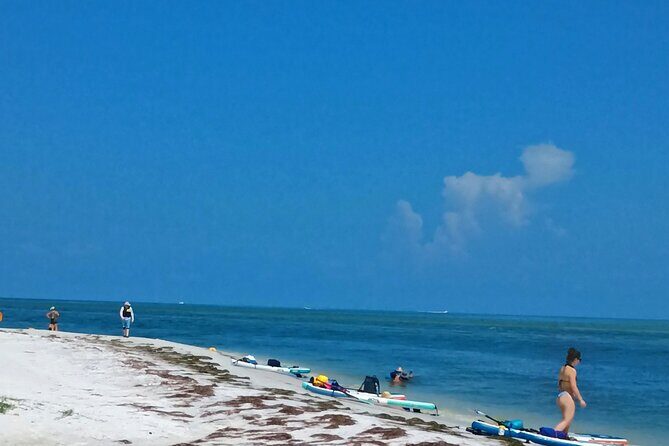 Island Time Adventure  Private 6-Hour Clearwater Cruise - Final Thoughts