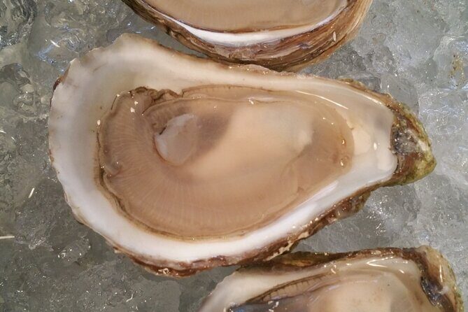 Island Tour with Oyster Tasting & Merroir Experience P.E.I. - Final Thoughts: Is This Tour Worth It?