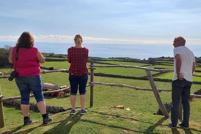 Island Van Tour (Full Day) | Terceira Island - Final Thoughts