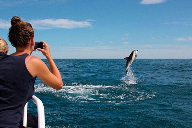 Island Visit National Park Brijuni & Dolphin Cruise - Exploring the Brijuni Islands & Dolphin Cruise: An Authentic Adriatic Adventure