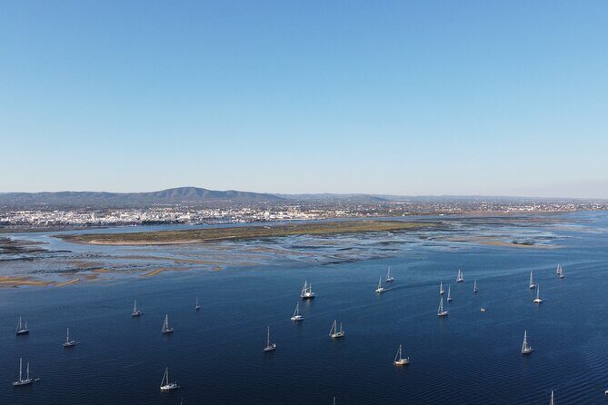 Islands Tour: Half Day Cruise in Ria Formosa National Park - The Price and Overall Value