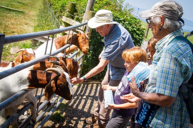 Isle of Arran: Farm Experience Entry Ticket - The Sum Up: Is Bellevue Farm Worth It?