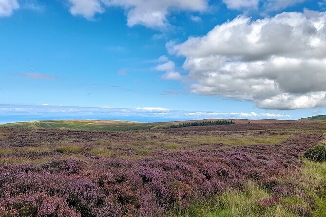 Isle of Man Discovery Tour with experienced Driver Guide - Overview of the Isle of Man Discovery Tour