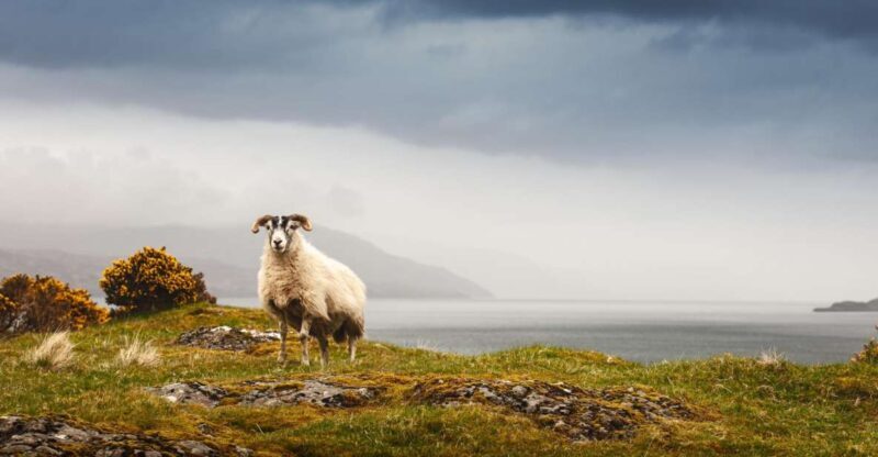 Isle of Mull and Iona 3-Day Small-Group Tour from Glasgow - FAQ