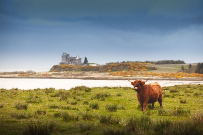 Isle of Mull and Iona 3-Day Small-Group Tour from Glasgow - In The Sum Up