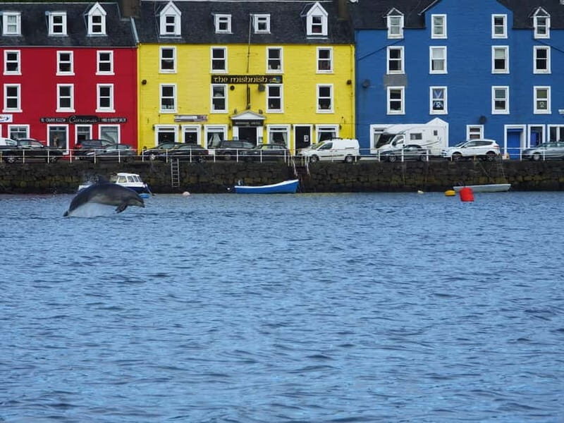 Isle of Mull: Guided Coastal Walk to Tobermory Lighthouse - Wildlife and Photography