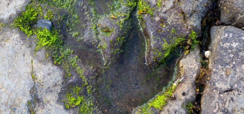 Isle of Skye Driving Tour from Portree with an APP - FAQs