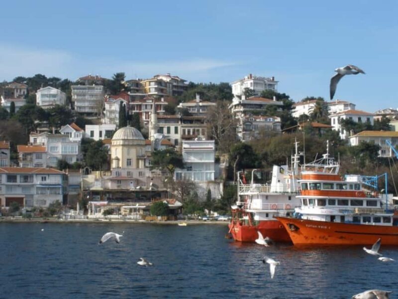 Istanbul 3 Island Cruise with Lunch & Free Time - Who Should Consider This Tour?