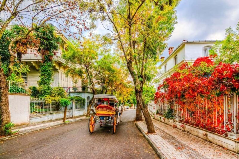 Istanbul: 3 Princes' Islands Cruise with Lunch and Guide - Key Points