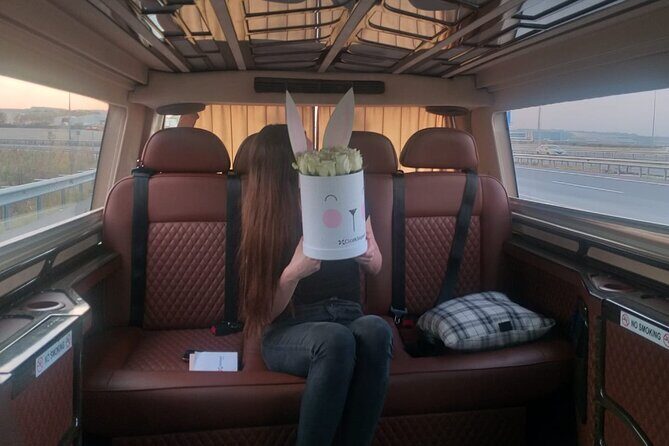 Istanbul Airport Transfer Private Minvan - Vehicle Comfort and Features