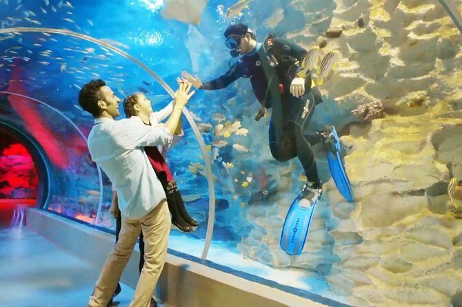 Istanbul Aquarium and Aqua Florya Independent Shopping Trip - A Deep Dive into the Experience