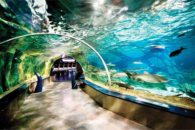 Istanbul Aquarium and Aqua Florya Independent Shopping Trip - Practical Details That Matter