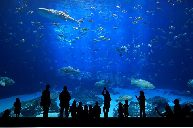 Istanbul Aquarium and Aqua Florya Independent Shopping Trip - Who Will Love This Tour?