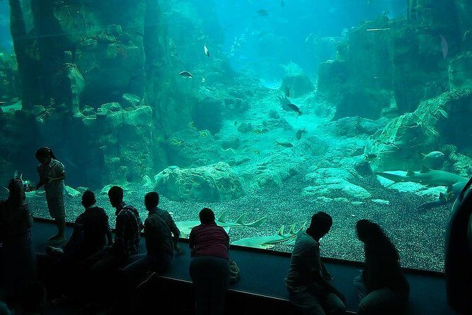 Istanbul Aquarium and Aqua Florya Independent Shopping Trip - Final Thoughts
