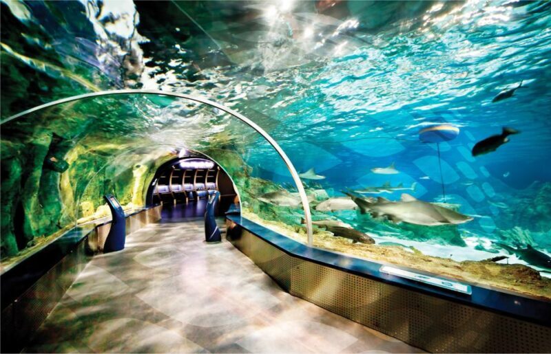 Istanbul Aquarium and Aqua Florya Shopping Mall Tour - The Sum Up