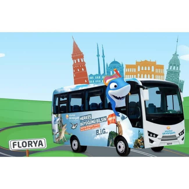 Istanbul: Aquarium Ticket with Shuttle Bus from Sultanahmet - Who Will Love This Experience?