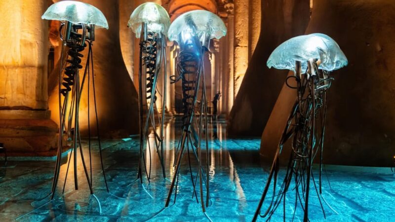 Istanbul: Basilica Cistern Guided Tour - An In-Depth Look at the Basilica Cistern Guided Tour