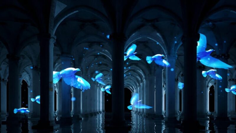 Istanbul: Basilica Cistern Skip-the-Ticket-Line Guided Tour - Insights from Tour Reviews