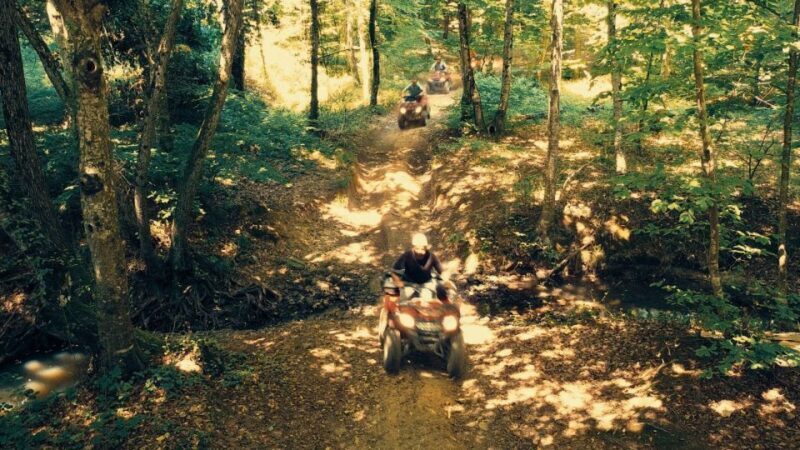 Istanbul: Belgrad Forest ATV Tour with Ziplining Option - Pricing and Value: What You’re Getting