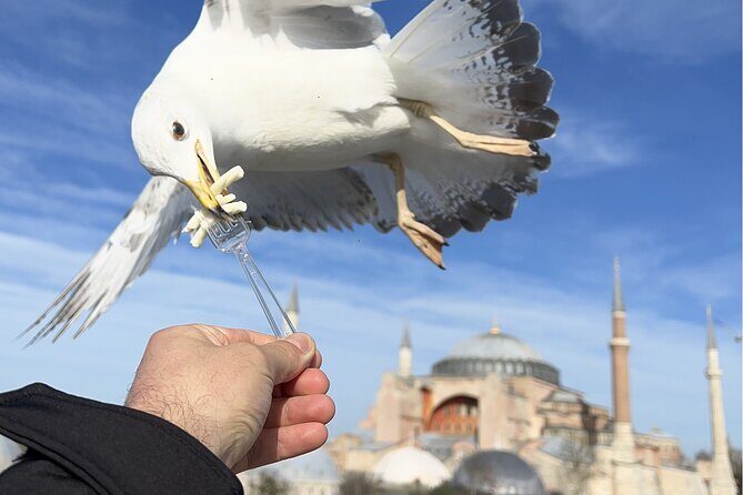 Istanbul: Best of The City Full-Day Tour with Transfers - A Detailed Look at the Tour Experience