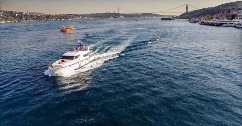 Istanbul: Bosphorus Cruise on A Private Luxury Yacht - An In-Depth Look at the Bosphorus Private Yacht Tour