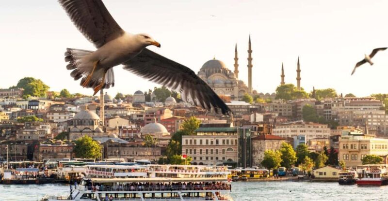 Istanbul: Bosphorus Morning/Sunset Cruise with Optional Stop - Practical Details and Considerations