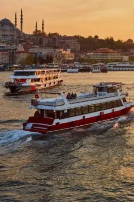Istanbul: Bosphorus Morning/Sunset Cruise with Optional Stop - Who Should Consider This Tour?