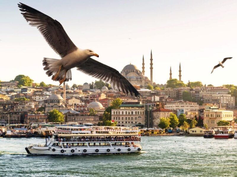 Istanbul: Bosphorus Morning/Sunset Cruise with Optional Stop - FAQs