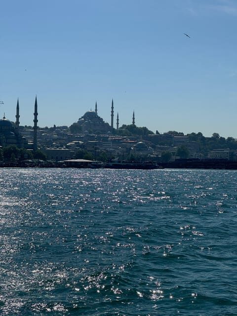 Istanbul: Bosphorus River Sunset Yacht Tour with Commentary - A Closer Look at the Bosphorus Sunset Yacht Tour