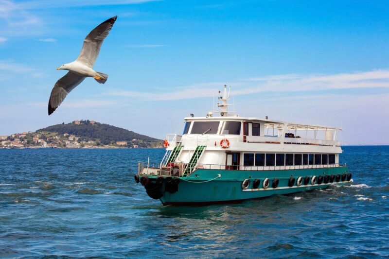 Istanbul: Bosphorus Strait Sightseeing Cruise & Audio Guide - Final Thoughts: Is It Worth It?