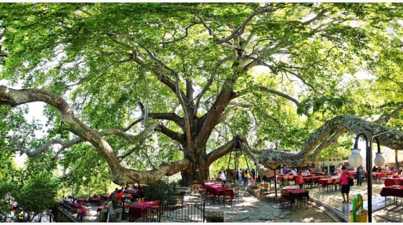 Istanbul: Bursa and Uludag Mountain Day Trip with Cable Car - Final Thoughts: Who Is This Tour For?