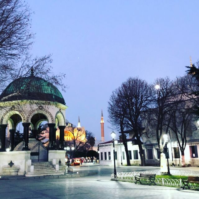 Istanbul: City Highlights Group Tour with Hagia Sophia Entry - A Deep Dive Into the Experience