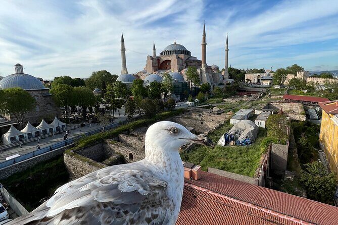 Istanbul city tour from Cruise ship terminal Galataport. - Reviews: Authentic Perspectives