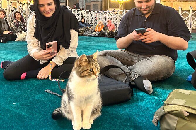 Istanbul City Tour W/ Fast Track Basilica Cistern W/ Small Group - FAQs