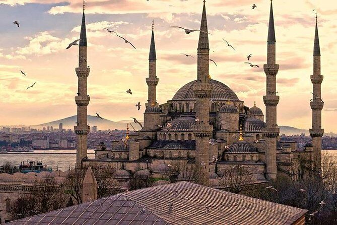 Istanbul Classics and Bosphorus Cruise Private Tour - What We Think About the Price and Logistics