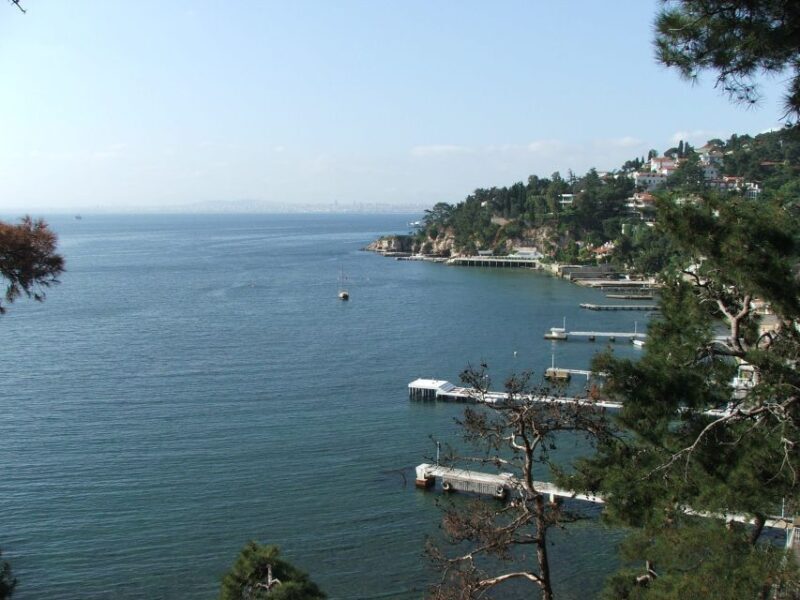 Istanbul: Day Trip to the Princes' Islands - Authenticity and Experience