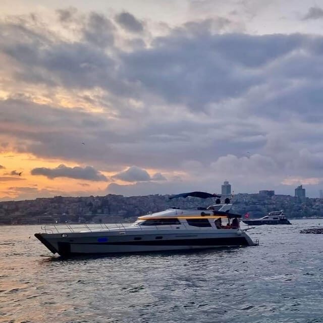 Istanbul: Daytime Bosphorus Yacht Cruise with Fruit & Snacks - The Experience: What to Expect on Your Bosphorus Yacht Cruise
