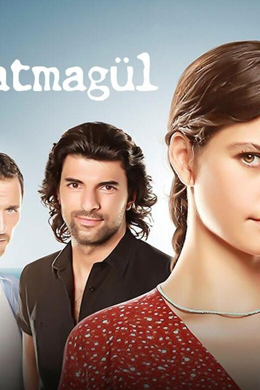 Istanbul: Discover the places where Turkish series are shot. - The Sum Up: Who Will Love This Tour?