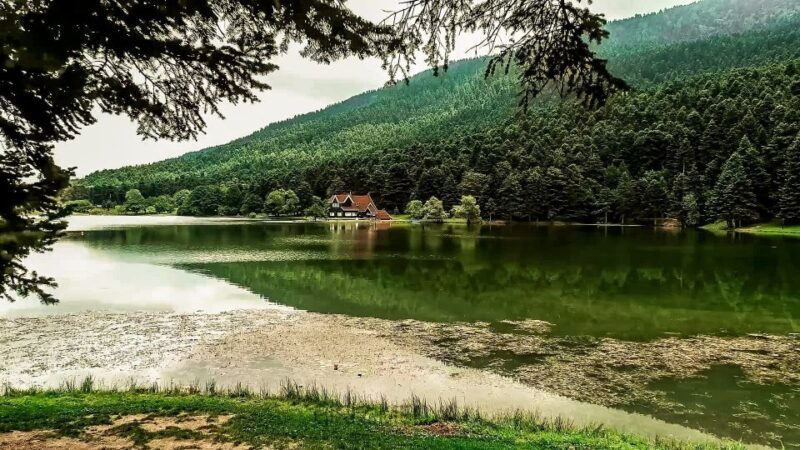 Istanbul: Full-Day Sapanca Lake and Masukiye Tour with Lunch - The Journey Begins: Comfortable Pickup and Scenic Drive