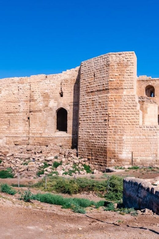 Istanbul: Gobeklitepe and Harran Day Trip - Who Is This Tour Best For?