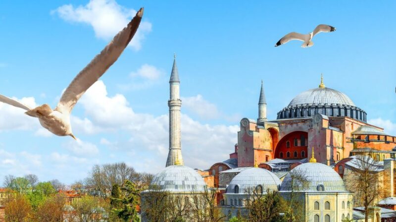Istanbul: Hagia Sophia, Basilica Cistern & Topkap Palace - Starting Point and Meeting Details