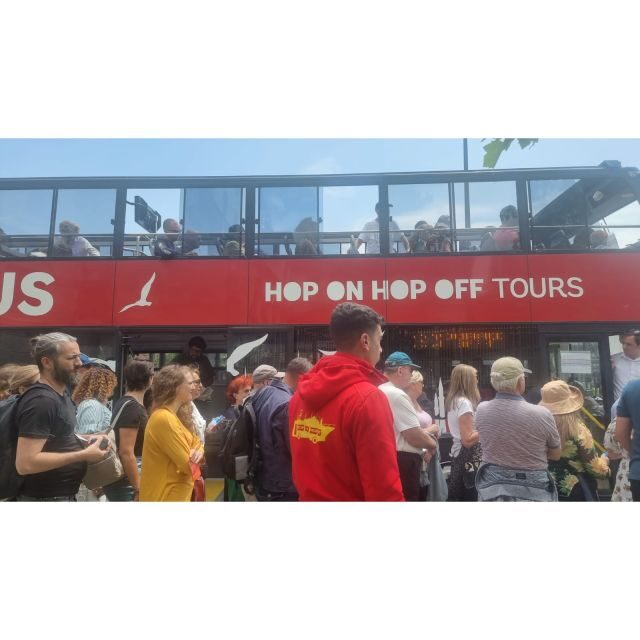 Istanbul Hop On Hop Off Bus24 Hours Ticket - What’s Included in the Ticket?