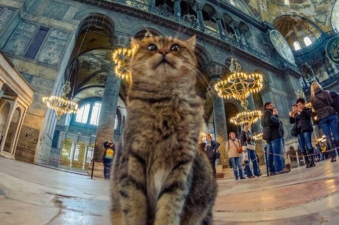 Istanbul Old City Tour - Final Words