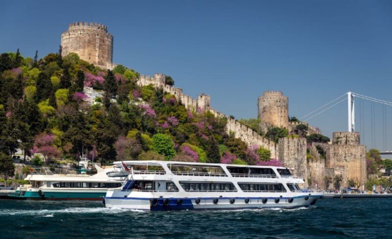 Istanbul: Old Town Tour and Bosphorus Lunch Cruise - Final Thoughts
