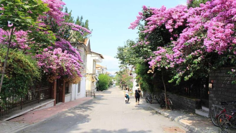 Istanbul: Princes Island Guided Two-Way Trip by Private Boat - What to Expect: The Journey from Istanbul to the Princes Islands