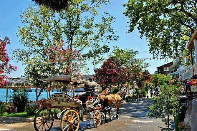 Istanbul Princes Island Tour with Lunch & Hotel Transfer - Key Points