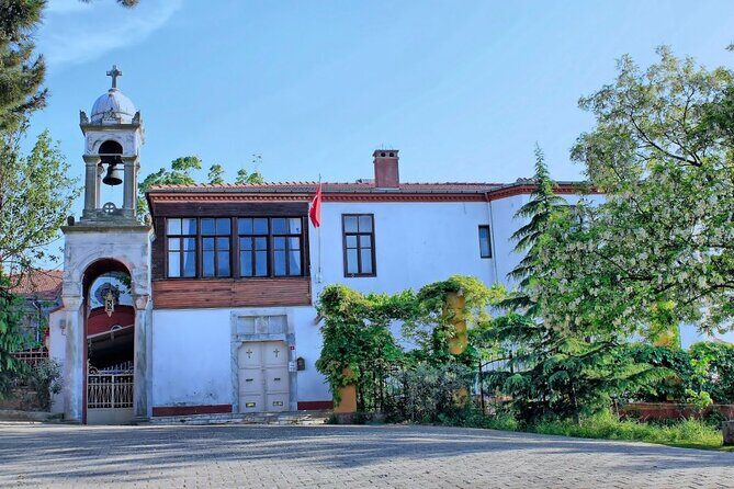 Istanbul Princes Islands Boat Trip with Lunch - Who Should Consider This Tour?