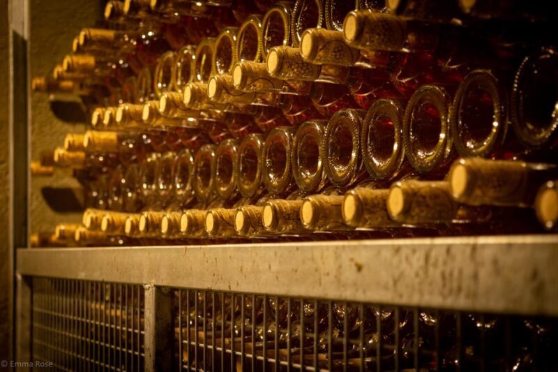 Istanbul: Private Wine Tasting Day Trip to Tekirdag - A short introduction to this wine-focused adventure