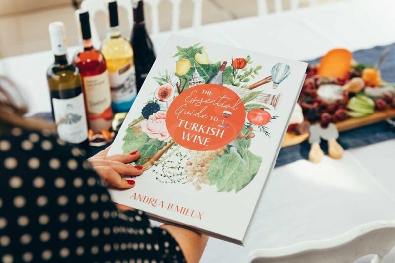 Istanbul: Private Wine Tasting Day Trip to Tekirdag - How the day begins: convenient hotel pickup